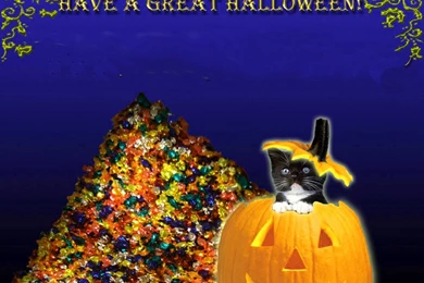 Top Funny Halloween Wallpapers Wallpapers