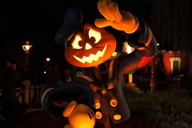 Funny Halloween HD Wallpapers   HD Wallpapers