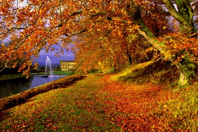 Free Computer Wallpapers Fall – 2560×1600 High Definition Wallpapers ...