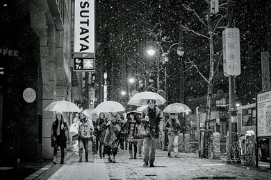 NatGeo Daily Picture For Wallpapers Script [CLOSED]