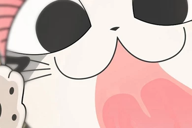 Three Different Colors Of Cats iPhone 6 Wallpapers, iPhone 6 ...