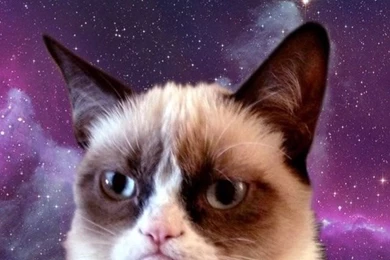 Grumpy Cat Space iPhone 5 Wallpapers / IPod Wallpapers HD   Free ...