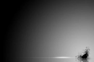 Apple Wallpapers Stills