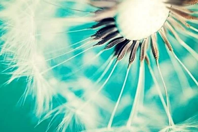 Ios Stills Wallpapers   Wallpapers