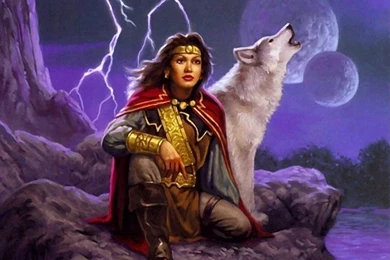 INDIAN WITH WOLF On Pinterest