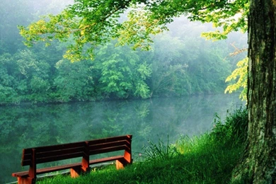 Nature Wallpapers Download