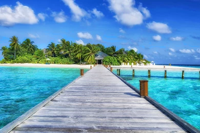 Hd Wallpapers, Nature Images, Free Download Images, Green, Sky ...