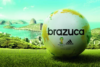 FIFA World Cup 2014 Brazil