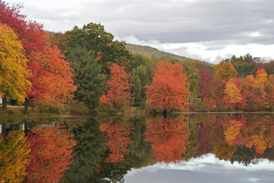 Fall In New England Wallpapers