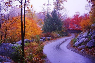 Fall In New England Wallpapers   (