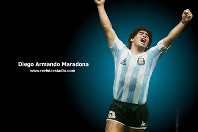 FIFA World CUP 2006 Wallpapers And Images   Wallpapers, Pictures ...