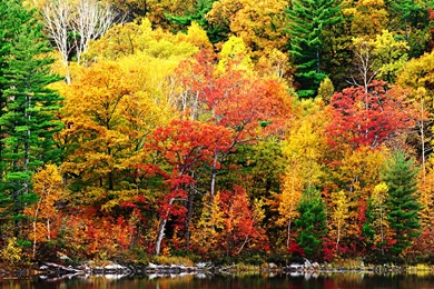 New England In The Fall