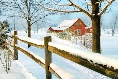 Winter In New England   (
