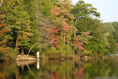 Fall Season Wallpapers   Crazy Frankenstein