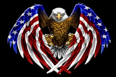 Birds: American Bald Eagle Freedom Wings Flag Talons Desktop ...
