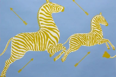 Scalamandre Zebra Wallpapers   Kelly Golightly