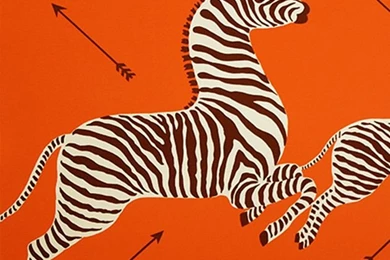 Scalamandre Favorites On Pinterest