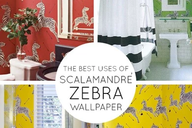 Stripes Are Always In: Oh So Iconic ScalamandrÃ© Zebra Wallpapers ...