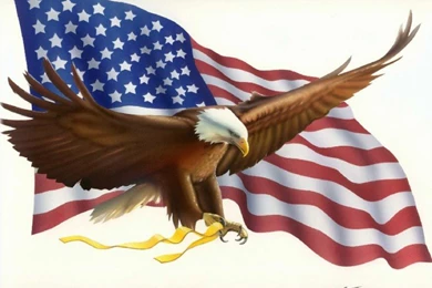 American Flag And Eagle