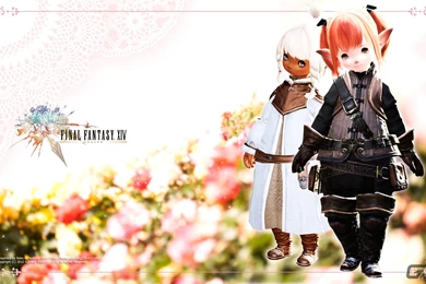 Player DIY FFXIV Wallpapers