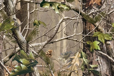 Wallpapers Realtree Camouflage Hunting Pattern Fabrics Including ...