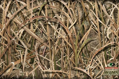 Mossy Oak Wallpapers Download