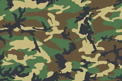 1000+ Images About Camouflage On Pinterest