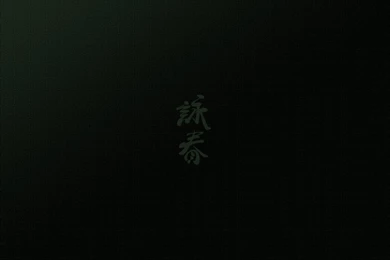 Wing Chun Wallpapers By PSIHUNTER00 On DeviantArt