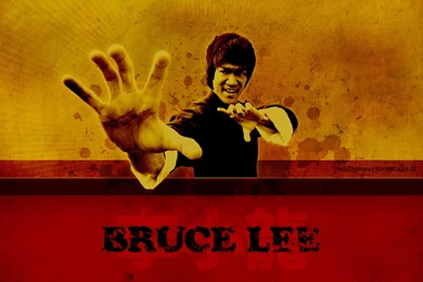 Bruce Lee Wallpapers   Free Desktop HD iPad iPhone Wallpapers