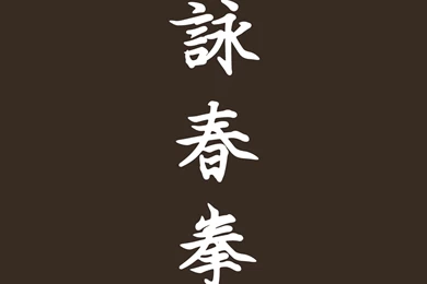 Samsung Galaxy S4 I9500 Decal Skin   Wing Chun Ving Tsun