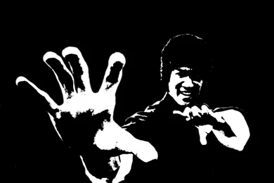 Tribute To Wing Chun And JKD