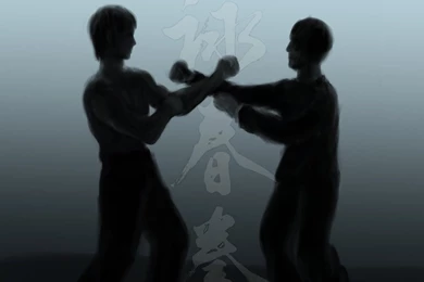 WING CHUN By Chinghow On DeviantArt