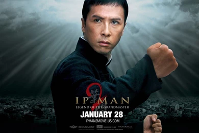 Wallpapers Wing Chun Art It Is Directed By Wilson Yip And Stars ...