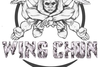 RePin Image: Wing Chun Kung Fu On Pinterest