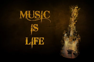 Lead Guitar Quotes. QuotesGram