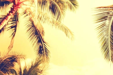 IPHONE 6 WALLPAPER TUMBLR HD WF1006