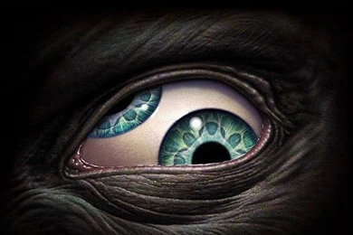 25 Top Rated Selective iPhone 4 Retina Wallpapers (640×960)