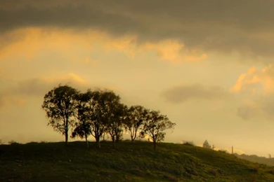 iPhone Retina Wallpapers By Guymiller On DeviantArt