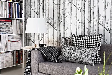 Birch Tree Wallpapers Archives