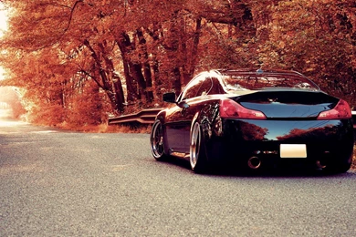 Autumn Drive Wallpapers For iPhone 4