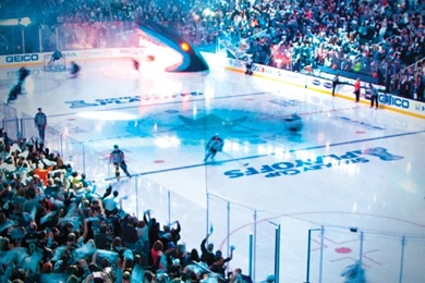 San Jose Sharks   This Is Fan Territory   San Jose Sharks   Fan ...