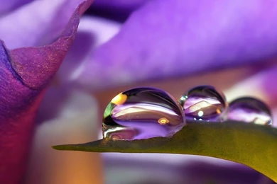 Terrific Pretty Colorful Wallpapers Ideas ~ Bamper: Beautiful Home ...