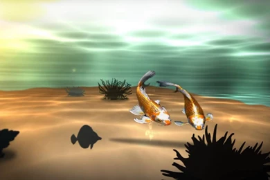 Koi 3D Fish Pond Live Wallpapers   YouTube