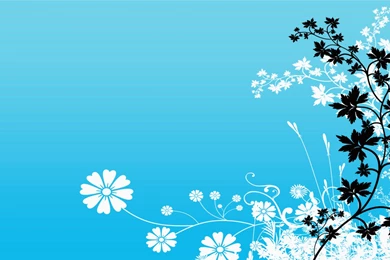 Turquoise Wallpapers Designs 2015   Grasscloth Wallpapers