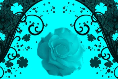Turquoise Flower Wallpapers   Wallpapers HD Wide