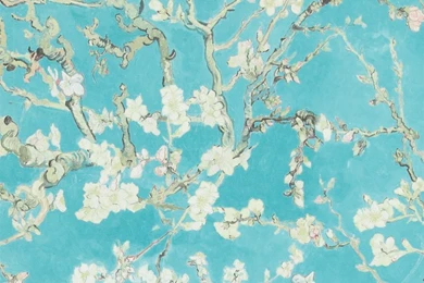 Turquoise Almond Tree Wallpapers