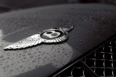 Bentley Logo High Resolution Wallpapers