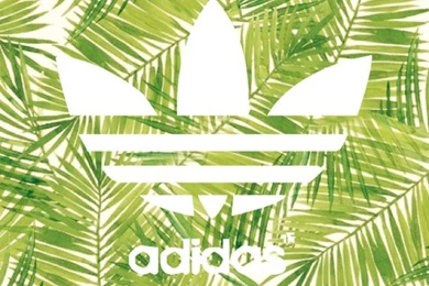 Adidas, Background, Backgrounds, Green, Nike   Image
