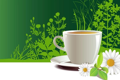 Good Morning Flowers Backgrounds Hd Wallpapers