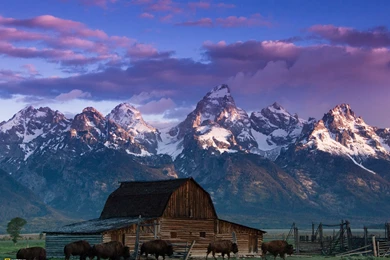 Grand Teton National Park